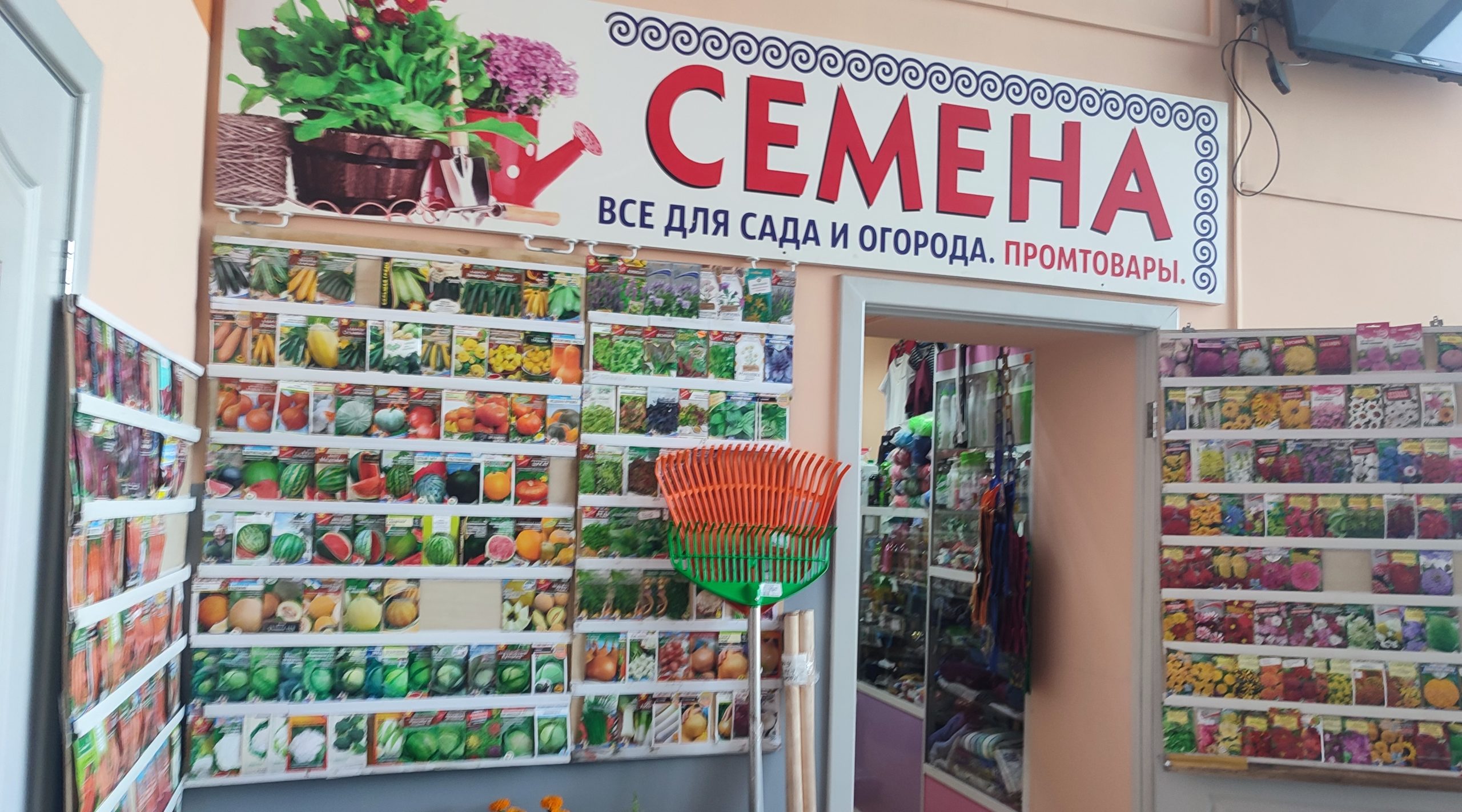 В магазинах Минусинска продавали семена-сюрпризы | Взгляд Инфо